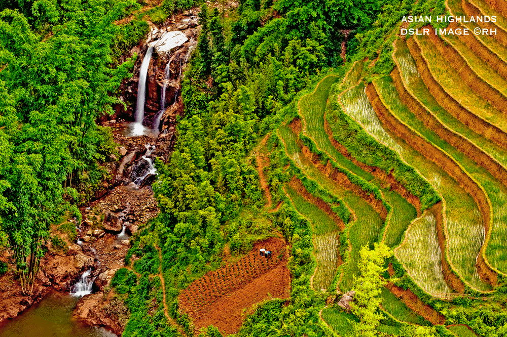 about page Rick Hemi, waterfall highlands rice terraces, image by rick hemi
