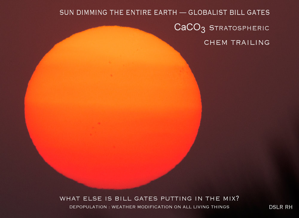 sun dimming Bill Gates depopulation agenda, DSLR by Rick Hemi