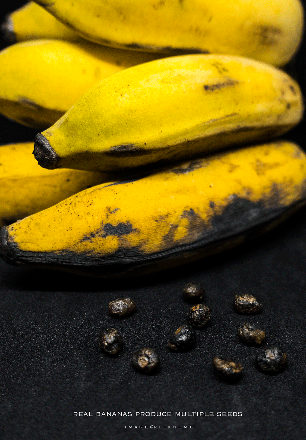self-seed producing bananas, image snap by Rick Hemi